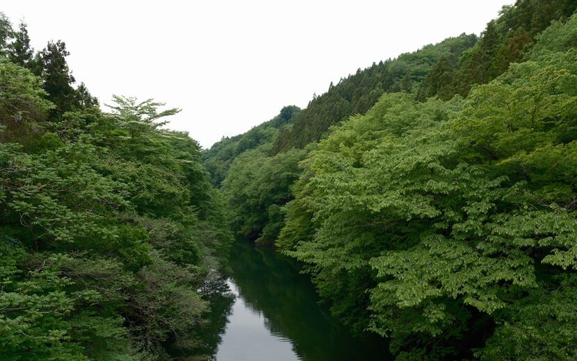 栗駒ダムの上流域の写真