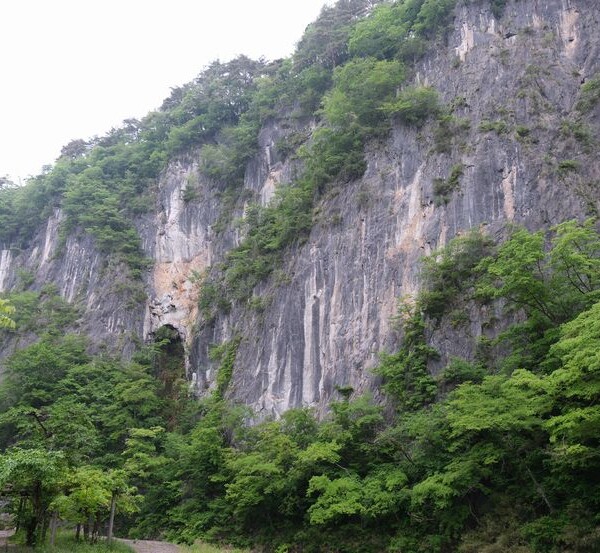 日本三大渓流の猊鼻渓の春５月の写真