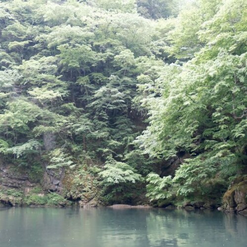 日本三大渓流の猊鼻渓の春５月の写真