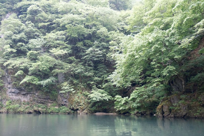 日本三大渓流の猊鼻渓の春５月の写真