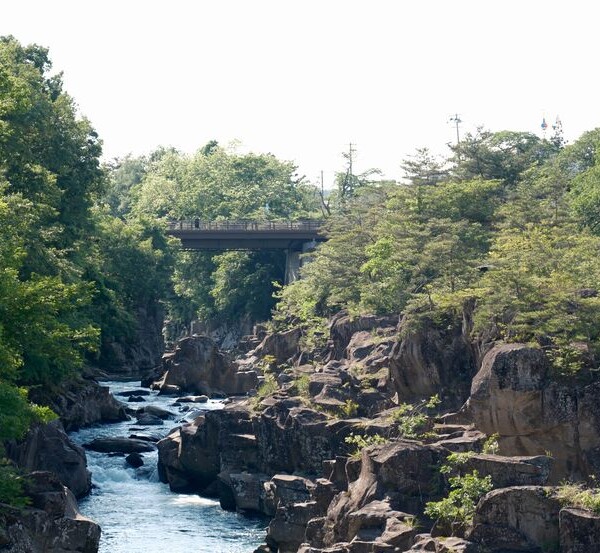 厳美渓５月・春の絶景
