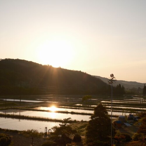 ５月の田舎の田園風景：朝陽