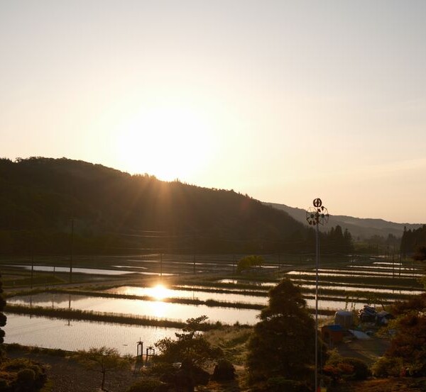 ５月の田舎の田園風景：朝陽