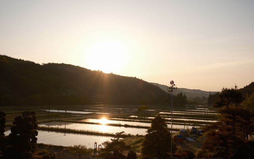 ５月の田舎の田園風景：朝陽