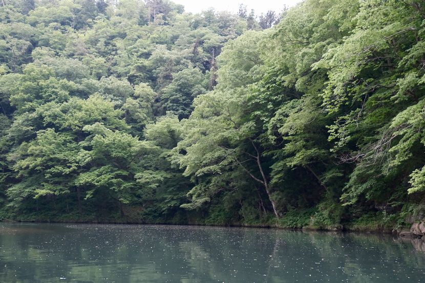 日本三大渓流の猊鼻渓の春5月の写真