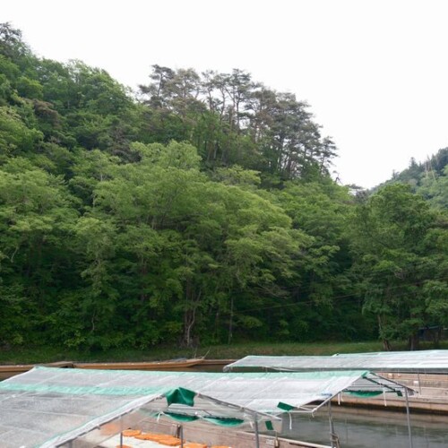 日本三大渓流の猊鼻渓の春５月の写真　舟