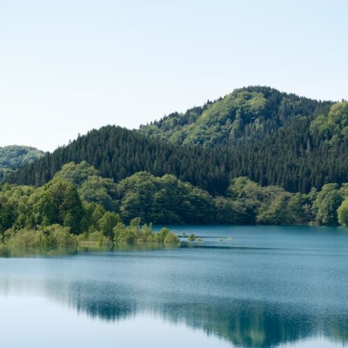 秋扇湖の春の水没林の風景写真