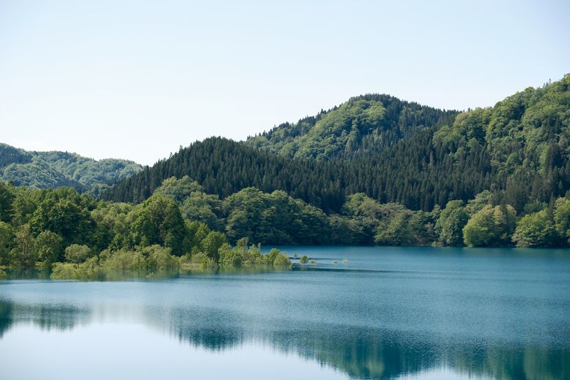 秋扇湖の春の水没林の風景写真
