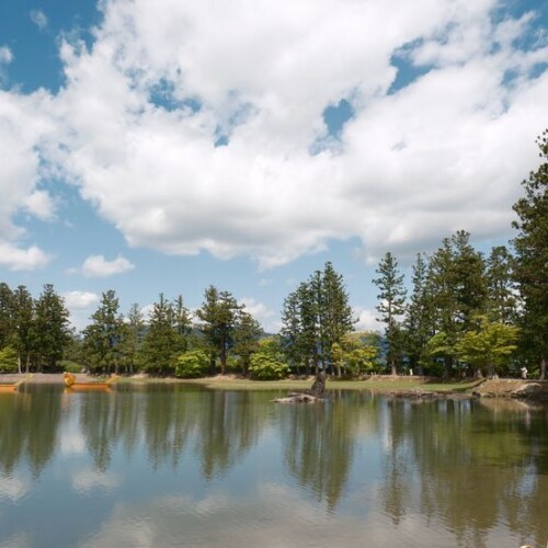 毛越寺の庭園：池の風景写真