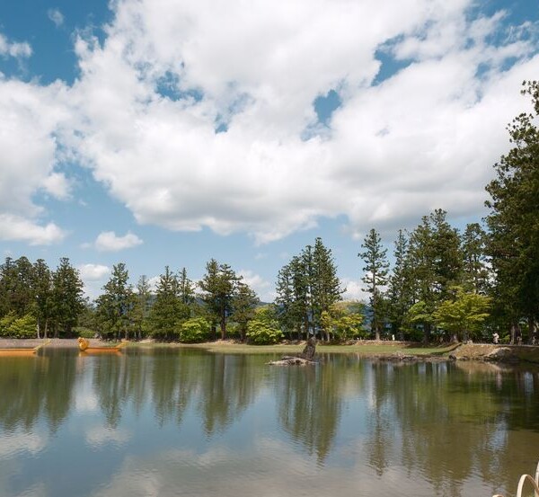 毛越寺の庭園：池の風景写真