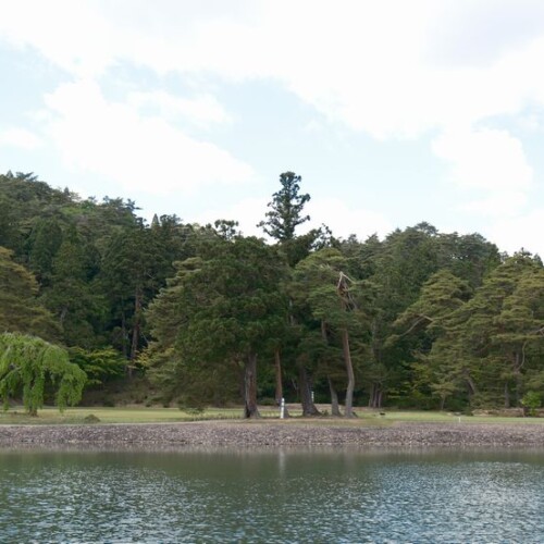 毛越寺の庭園：池の風景写真