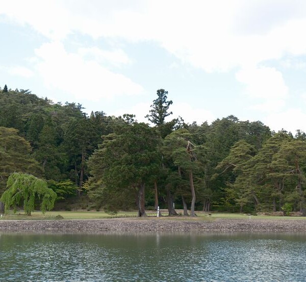 毛越寺の庭園：池の風景写真