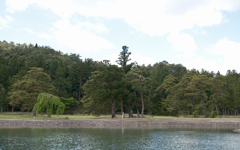 毛越寺の庭園：池の風景写真