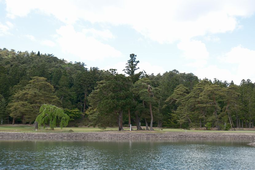 毛越寺の庭園：池の風景写真