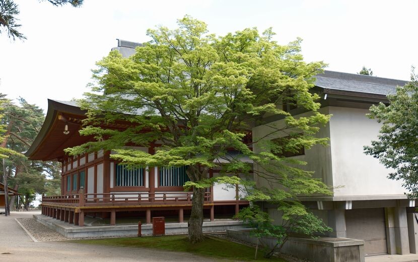 世界遺産毛越寺の敷地内の風景