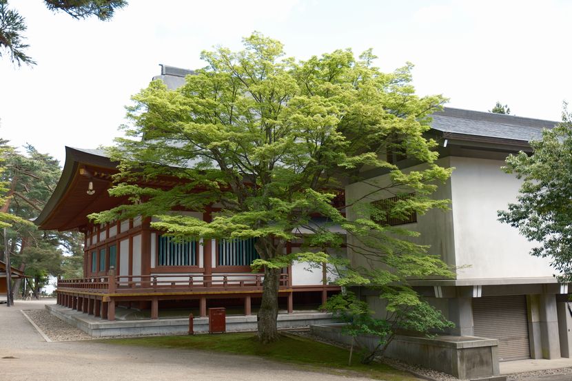 世界遺産毛越寺の敷地内の風景
