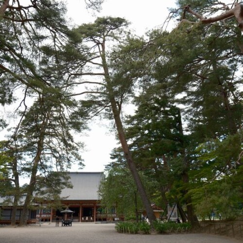 毛越寺の５月の写真