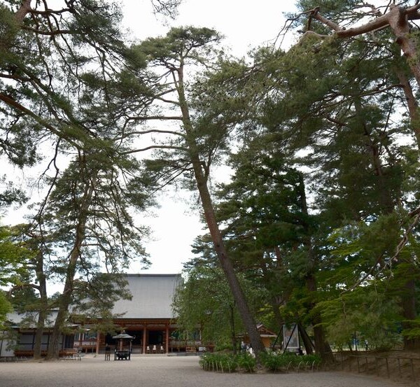 毛越寺の５月の写真