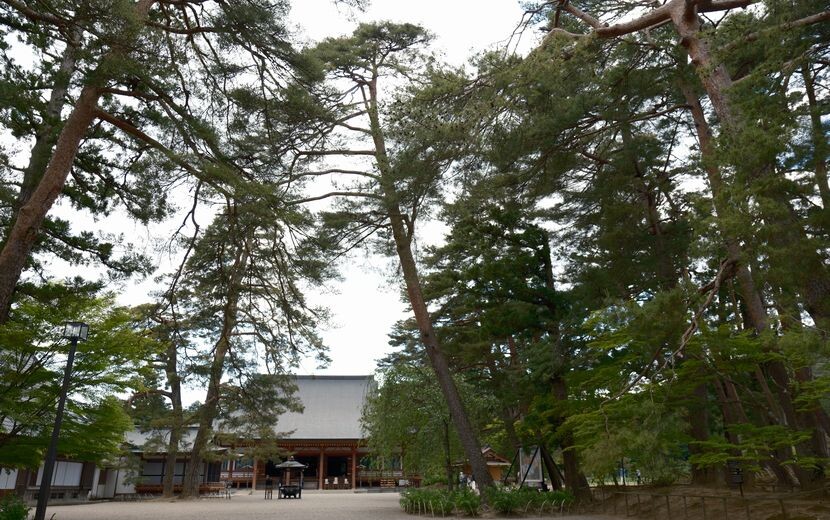 毛越寺の５月の写真