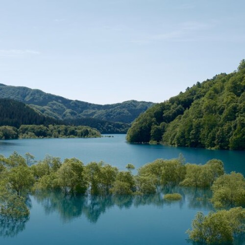 秋扇湖の春の水没林の風景写真