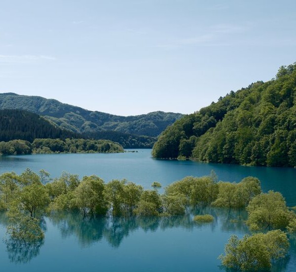 秋扇湖の春の水没林の風景写真