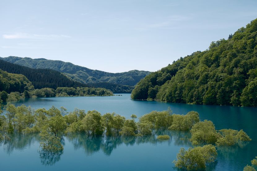 秋扇湖の春の水没林の風景写真