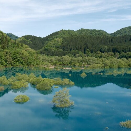 秋扇湖の春の水没林の風景写真