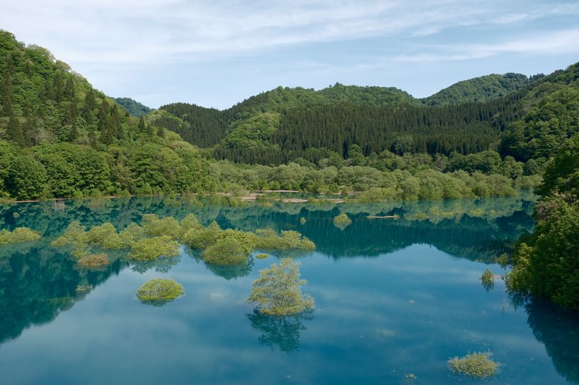秋扇湖の春の水没林の風景写真