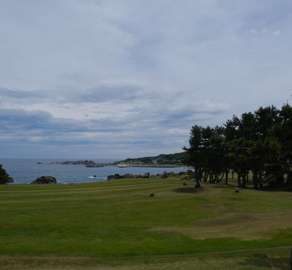 八戸種差海岸の風景