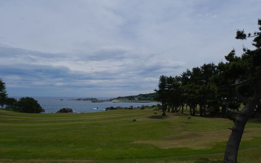 八戸種差海岸の風景