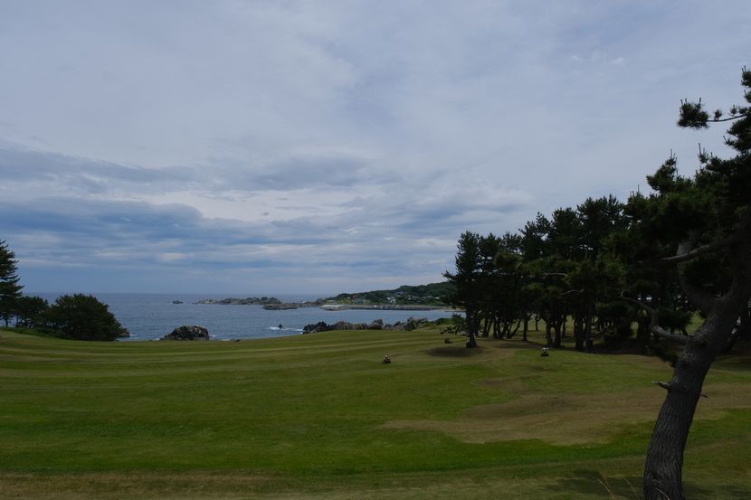 八戸種差海岸の風景