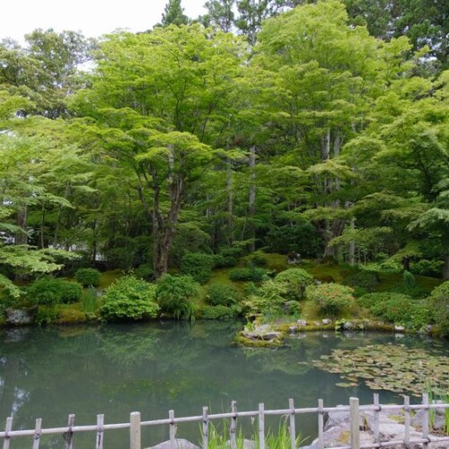 円通院の6月の風景