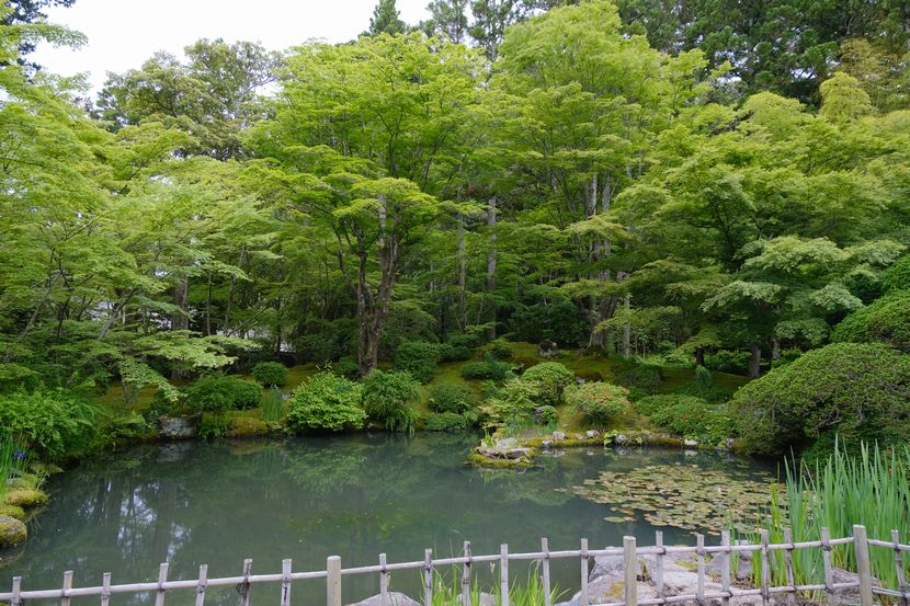 円通院の6月の風景