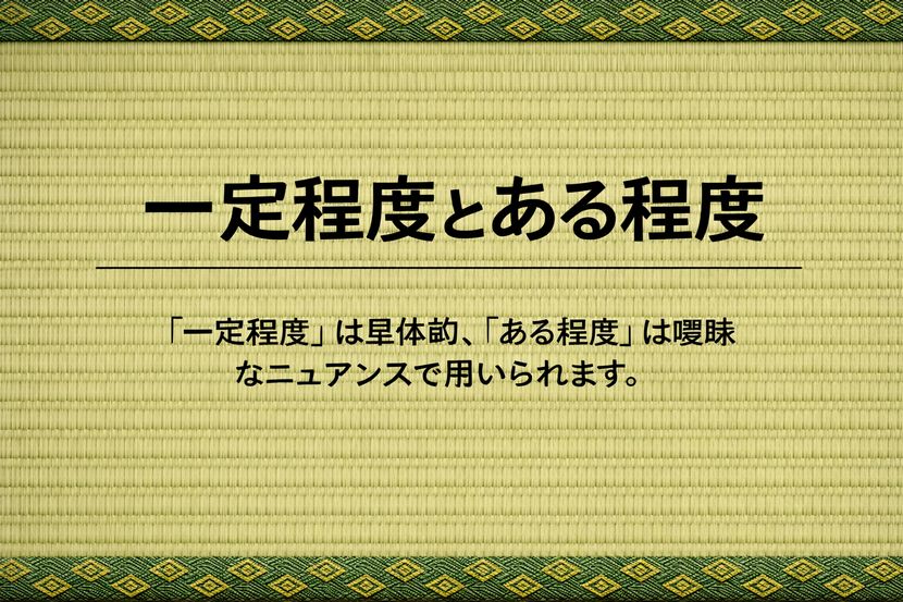 一定程度とある程度の違い