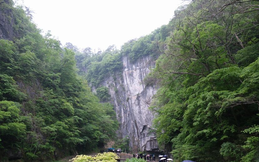 日本三大渓流の猊鼻渓の春５月の写真