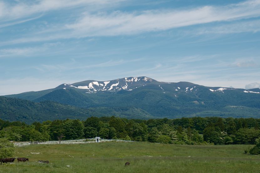 栗駒山の五月の風景写真