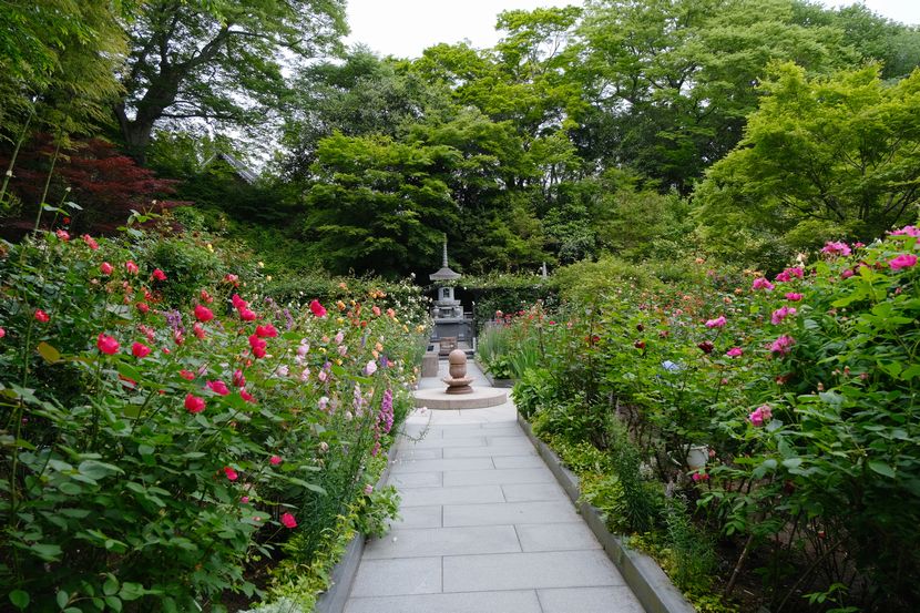 松島円通院のバラ園の風景