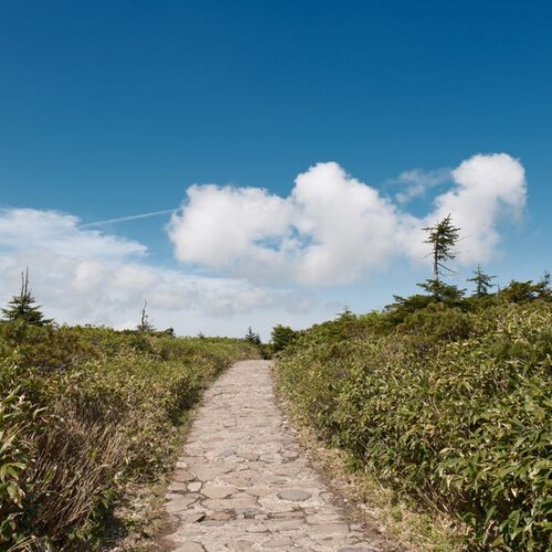 八幡平の整備された登山道