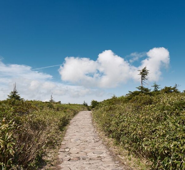 八幡平の整備された登山道