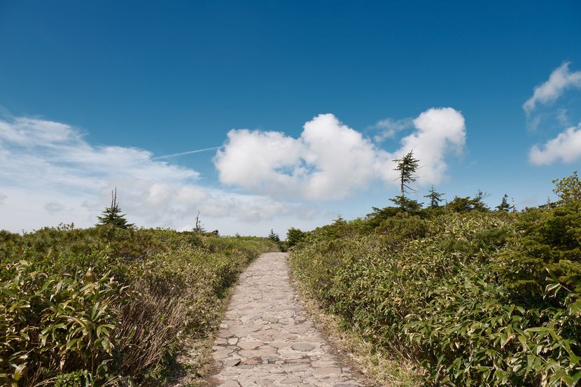 八幡平の整備された登山道