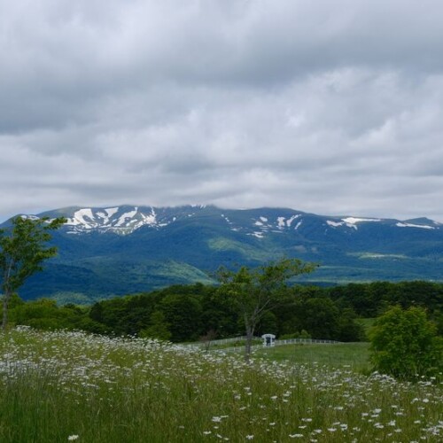 栗駒山の夏の風景