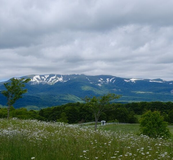 栗駒山の夏の風景