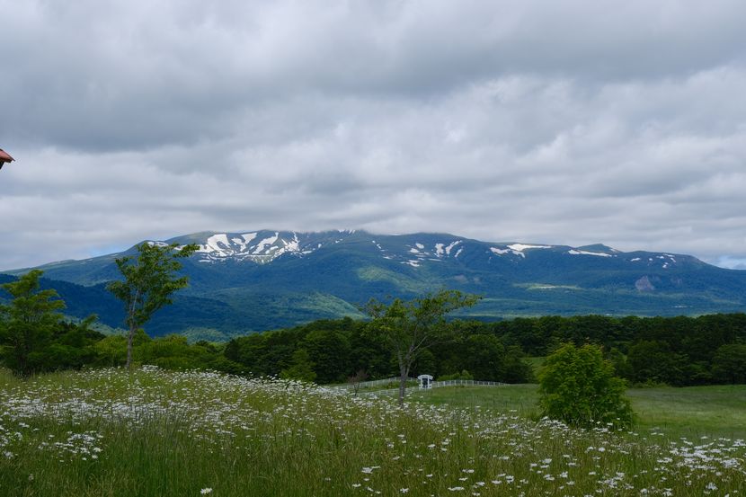 栗駒山の夏の風景