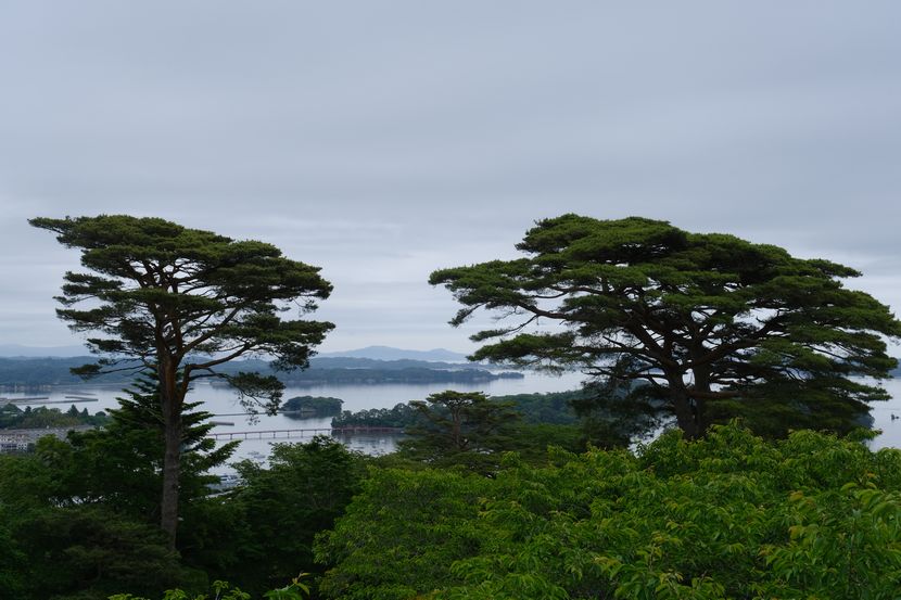 西行戻しの松公園の風景