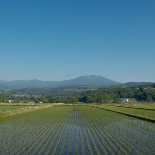 秋田県の田園風景