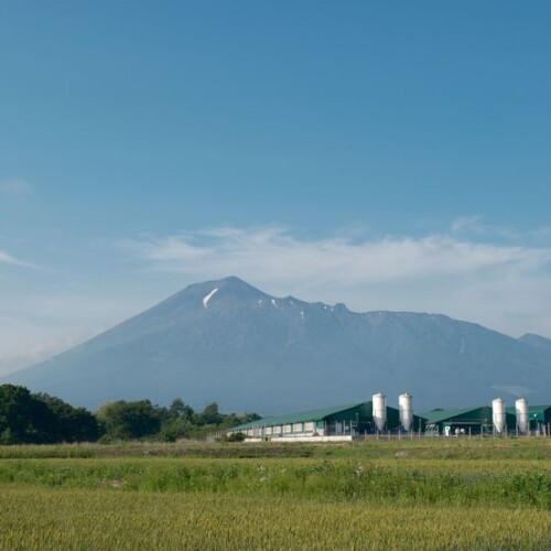 八幡平の6月の風景写真