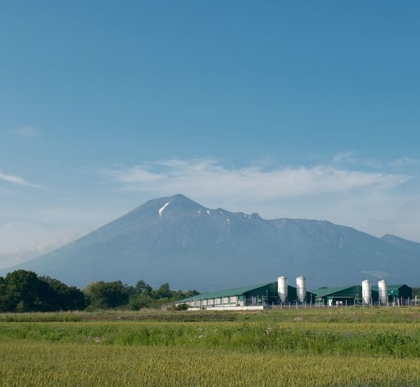八幡平の6月の風景写真