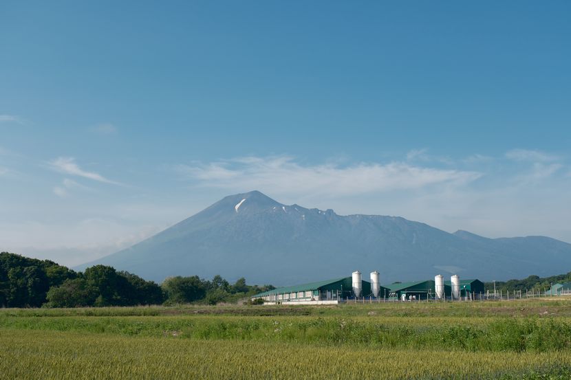 八幡平の6月の風景写真