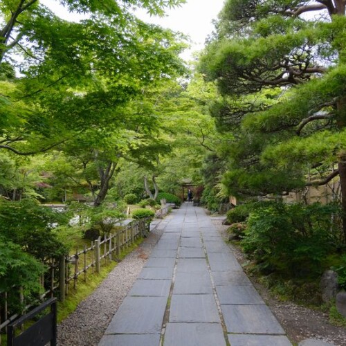 ６月の松島円通院の風景