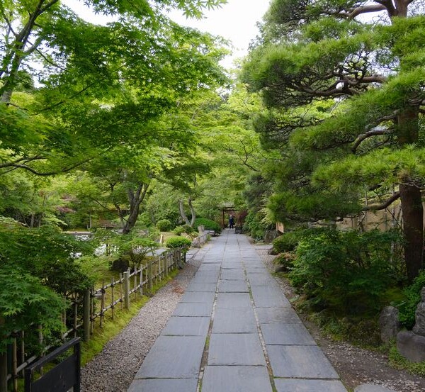 ６月の松島円通院の風景